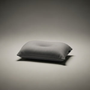 Talus Camp Pillow